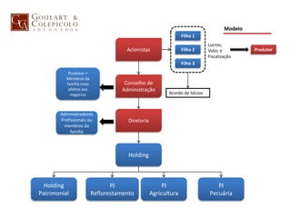PJ
Reflorestamento
PJ
Agricultura
Holding
Patrimonial
PJ
Pecuária
Modelo
Acionistas
Holding
Filho 1
Lucros;
Voto; e
Fiscalização
Conselho de
Administração
Diretoria
Filho 2
Filho 3
Produtor
Acordo de Sócios
Administradores
Profissionais ou
membros da
família
Produtor +
Membros da
família mais
afeitos aos
negócios
 