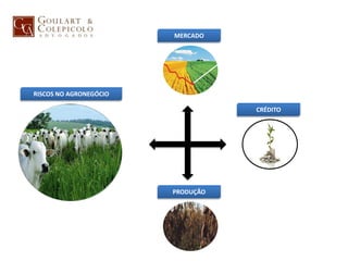 RISCOS NO AGRONEGÓCIO
MERCADO
CRÉDITO
PRODUÇÃO
 