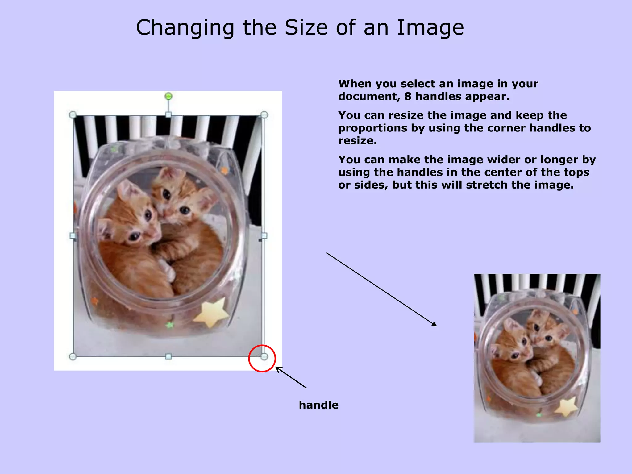 Add text to your shape