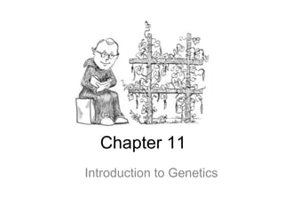 Chapter 11
Introduction to Genetics
 