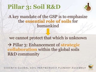 Pillar 3: Soil R&D
A key mandate of the GSP is to emphasize
the essential role of soils for
humankind
we cannot protect that which is unknown
 Pillar 3: Enhancement of strategic
collaboration within the global soils
R&D community
 