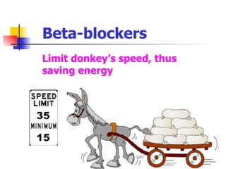 Beta-blockers Limit donkey’s speed, thus saving energy 