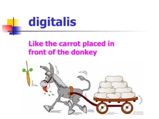 digitalis Like the carrot placed in front of the donkey 