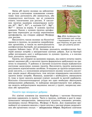 § 27. Мінеральні добрива
135
Зміна pH ґрунту впливає на забезпечен-
ня рослин ключовими поживними елемен-
тами: їхня доступність або знижується, або
підвищується настільки, що ці елементи
стають токсичними для рослин. У кислот-
них ґрунтах надмірна концентрація катіо-
нів Al3+, Mn2+, Fe2+, а катіонів Ca2+, Mg2+,
Мо2+— менша за норму. У лужних ґрунтах
навпаки. Також у  лужних ґрунтах ортофос-
фат-іони переходять до складу нерозчинних
ортофосфатів, що створює дефіцит Фосфору
для рослин.
Кислотність також впливає на біологічні
процеси в ґрунтах, на розвиток хвороботвор-
них організмів, а також на життєдіяльність
азотфіксуючих бактерій, які розвиваються на
коренях бобових (мал. 27.2). Активна діяльність азотфіксуючих бак-
терій знижує потребу у використанні азотних добрив. Але ці бактерії
добре поглинають азот у нейтральних та лужних ґрунтах, а в кислих
їхня діяльність пригнічена.
Ґрунти, які утворені на вапняних породах, від самого початку мають
високі значення рН, а кислотні ґрунти формуються здебільшого на гра-
нітах та піщанику. У районах зі значною кількістю опадів відбувається
поступове закислення лужних ґрунтів. Кислотність ґрунтів навчилися
регулювати агрохімічними засобами. З опадами до ґрунтів потрапляють
різні кислоти, а з посиленням антропогенного впливу кількість кислот-
них опадів дедалі збільшується, тож штучно підвищувати кислотність
ґрунтів немає потреби. Навпаки, зазвичай є необхідність зменшувати
її, тому в ґрунт вносять вапняні суміші: кальцій та магній карбонати.
Оскільки сільськогосподарські угіддя все одно необхідно збагачувати
мінеральними добривами, то найкраще використовувати такі добрива,
що можуть нейтралізувати надлишок кислот у ґрунті, наприклад амо-
ніак або преципітат.
Поняття про мінеральні добрива
Усі хімічні елементи (за винятком Карбону і частково Оксигену)
рослини одержують із ґрунту. Часто в ґрунтах, особливо в разі їх нера-
ціонального використання, зменшується кількість поживних речовин,
насамперед сполук Нітрогену, Фосфору й  Калію. Для підвищення вро-
жайності ці елементи вносять у ґрунт штучно у вигляді різних неорганіч-
них або органічних сполук — мінеральних добрив. Вироблені хімічною
Мал. 27.2. Азотфіксуючі бак-
терії поглинають азот повітря
і перетворюють його на спо-
луки Нітрогену, які дуже необ-
хідні для розвитку рослин
 