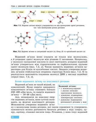 Тема 2. Хімічний зв’язок і
бу
дова
речов
ини
38
Водневий зв’язок може існувати не тільки між молекулами,
а  й  усере­дині однієї молекули між різними її частинами. Наприклад,
у молекулі саліцилової кислоти (з якої синтезують аспірин) водневий
зв’язок утворюється між гідроксильною та карбоксильною групами
однієї молекули (мал. 7.2, а). Також наявність водневих зв’язків ха-
рактерна для білків та нуклеїнових кислот. Завдяки утворенню водне-
вих зв’язків стабілізується вторинна структура білків (мал. 7.2, б) та
реалізується можливість існування молекул ДНК у вигляді подвійної
спіралі (мал. 7.2, в).
Вплив водневого зв’язку на властивості речовин
Водневий зв’язок не такий міцний, як
ковалентний. Якщо енергія одинарного
ковалентного зв’язку становить близько
250–400  кДж/моль, то енергія водневого
зв’язку — 10–30 кДж/моль.
Але, незважаючи на невелику енер-
гію водневих зв’язків, вони суттєво впли-
вають на фізичні властивості речовин.
Можливістю утворення водневого зв’яз-
ку з молекулами інших речовин, які також спроможні їх утворювати,
пояснюється велика розчинність багатьох речовин у  воді: спирту, цу-
кру, ацетону, етанової кислоти тощо. Речовини, у яких існує водневий
спирт — вода
спирт — спирт
вода — кислота кислота — кислота
Мал. 7.1. Водневі зв’язки можуть утворюватися як між молекулами однієї речовини,
так  і  між молекулами різних речовин
Мал. 7.2. Водневі зв’язки в саліциловій кислоті (а), білку (б) та нуклеїновій кислоті (в)
а б в
Водневий зв’язок:
• є міжмолекулярним
і  значно посилює
притягання молекул;
• зумовлює підвищення
температури кипіння;
• зумовлює підвищення
розчинності речовин у воді
 