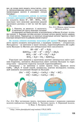139е р анічні реч н а ні
а і
вин, до складу якого входять сильні метан-, етан-
та пропансульфонова кислоти, а також молочна,
піровиноградна кислоти й різноманіті сполуки
Сульфуру1
.
о ини ожива т аніони та катіони
у евних ро ор і х в	обмін	на	еквівалент-
ну	 кількість	 йонів	 +
,	 О ,	 О3,	 О2
3	,	
унаслідок	чого	можливе	зрушення	реакції	
рунтового	розчину	в	той	чи	той	бік	(рис.	
31.4).
1. Поясніть, як зміниться: 1) кислотність
2) величина рунту внаслідок поглинан-
ня кореневою системою рослини: а) катіонів Калію та агнію б) нітрат- та суль-
фат-аніонів. 2. Коренева система рослини поглинає катіони амонію значно вид е,
ніж нітрат-аніони. Підвищиться чи знизиться концентрація катіонів Гідрогену в рунті
внаслідок використання як добрива амоній нітрату
Як ожна з інити ве и ину оказника рунту 	 адмірну	кислот-
ність	 рунту	усувають	âàïíóâàííÿì,	а	надмірну	лужність	 	 і суванням.	
Âàïíóâàííÿ	 	це	внесення	в	 рунт	оксидів,	гідрогенкарбонатів	або	карбо-
натів	Кальцію	та	Магнію	для	нейтралізації	його	кислотності:
	 2 +
	 	 2
+ H2
( СО3)2	 	2 +
	 	 2
	 	2СО2 	 	2 2
3	 	2 +
	 	 2
+ CO2 + H2O
СО3	 	 2О	 	СО2	 	 ( СО3)2.
Унаслідок	цих	процесів	у	 рунтовому	розчині	зменшується	вміст	каті-
онів	Гідрогену,	натомість	збільшується	вміст	катіонів	Кальцію	та	гідро-
ксид-іонів	 	продуктів	гідролізу	кальцій	гідрогенкарбонату.
і сування	 	 це	 внесення	 в	 лужні	 рунти	 гіпсу,	 формула	 якого	
CaSO4	 	 2 2 .	 У	 такий	 спосіб,	 наприклад,	 хімічно	 меліорують	 солонці,	
об	замінити	поглинений	 атрій	на	Кальцій:
2N +
	 	СО2
3 + CaSO4 = CaCO3 	 	2N +
+ SÎ2
4	
СО2
3 + CaSO4 = CaCO3 + SÎ2
4		.	
Ðèñ. 31.4.	Між	частинками	 рунту,	 рунтовим	розчином	і	поверхнею	кореневих	
волосків	відбувається	йонний	обмін.	1.	 астинка	 рунту.	2.	Кореневий	волосок.	
3.	Вода.	4.	Пухирець	повітря
1 2
3
4
Ðèñ. 31.3.	Мімоза	сором’язлива	
(Mimosa pudica)
1
			 :// . . / /170/2/1075
 