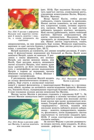 150 Òåìà 4
(рис.	 33.6).	 Про	 надлишок	 Кальцію	 свід-
чать	прив’ялі	листки,	уповільнення	росту,	
утруднення	всмоктування	Калію,	Феруму,	
Магнію,	Мангану.
к о	 бракує	 Калію,	 стебла	 рослин	
слабшають,	стають	тонкими	та	крихкими.	
ижні	листки	тьмяніють,	на	них	виника-
ють	 хлоротичні	 плями,	 активно	 нароста-
ють	 пасинки.	 Верхівки	 та	 краї	 листків	
набувають	 іржавого	 відтінку,	 вигорають.	
ові	листки	дрібнішають,	мають	темніший	
відтінок.	 вітіння	 уповільнюється	 або	
зовсім	 припиняється.	 адлишок	 Калію	
призводить	 до	 відмирання	 кінчиків	 коре-
нів.	 ижні	 листки	 скручуються,	 стають	
зморшкуватими,	на	них	виникають	бурі	плями.	Міжвузля	коротшають,	
верхівки	та	краї	листків	буріють	і	відмирають.	 ові	листки	ростуть	тон-
кими,	з	ознаками	хлорозу	(рис.	33.7).
атрій	належить	до	елементів,	які	умовно	потрібні	рослинам.	У	хіміч-
ному	 й	 фізіологічному	 відношенні	 він	 близький	 до	 Калію.	 Калій	 може	
замінити	 атрій,	однак	не	навпаки.	У	рос-
линах	 є	 низка	 ферментів,	 які	 активує	
атрій,	 але	 значно	 меншою	 мірою,	 ніж	
Калій.	 Одні	 рослини	 можуть	 засвоювати	
значні	кількості	 атрію,	інші	мають	дуже	
малу	 здатність	 до	 його	 поглинання.	 Крім	
того,	у	натрієфобних	рослин	надходження	
атрію	 з	 кореня	 до	 надземних	 органів	
обмежене	 (наприклад,	 у	 бобів).	 Шпинат	 і	
помідори	є	натрієфілами.
У	рослинному	організмі	Магній	входить	
до	складу	фотосинтетичного	пігменту	хло-
рофілу,	бере	участь	в	акумуляції	сонячної	
енергії	у	процесі	фотосинтезу,	у	транспортуванні	Фосфору	та	у	вуглевод-
ному	обміні,	впливає	на	активність	окисно-відновних	процесів.	Фотосин-
тез,	біосинтез	білка,	підтримування	структури	білкових	молекул,	а	отже,	
й	саме	існування	зелених	рослин	неможливі	без	Магнію.	
Масова	частка	Магнію	в	рослинах	становить	у	середньому	0,07	 .	За	
нестачі	Магнію	знижується	вміст	хлорофілу	в	зелених	частинах	рослин	і	
розвивається	хлороз	між	жилками	листка	
(самі	жилки	при	цьому	залишаються	зеле-
ними).	Гострий	дефіцит	Магнію	спричиняє	
«мармуровість»	 листків,	 тканини	 між	
жилками	можуть	набувати	різного	забарв-
лення	 	жовтого,	помаранчевого,	червоно-
го,	фіолетового,	потім	відмирають:	листки	
скручуються	 та	 поступово	 опадають	 (рис.	
33.8).	 У	 сосни	 спостерігають	 пожовтіння	
кінчиків	хвоїнок.
За	нестачі	Феруму	в	рослин	розвиваєть-
ся	некроз	листків,	вони	опадають.	Зі	збіль-
шенням	 дефіциту	 Феруму	 на	 великих	
Ðèñ. 33.7.	 аслідки	 дефіциту	
Калію	в	рослини
Ðèñ. 33.8.	 к о	в	рослини	дефі-
цит	Магнію,	її	листки	жовтіють	
між	жилками
Ðèñ. 33.6.	У	рослин	з	дефіцитом	
Кальцію	нові	паростки	спотво-
рені	й	можуть	жовтіти	і	гину-
ти,	 а	 плоди	 потерпають	 від	
«цвітіння»	
 