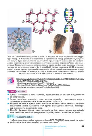 27Хімічн к а а
реч н
1
2 3
4
Ðèñ. 6.6. агатоликий	водневий	зв’язок.	1.	Водневі	зв’язки	в	кристалічній	струк-
турі	льоду.	2.	Сніжинки	складаються	з	кристаликів	льоду	(висловте ри у ен
ня чому в удь якої сні инки саме ість роменів).	3.	Завивання	та	розпрям-
ляння	волосся	під	дією	високої	температури	послаблює	водневі	зв’язки	між	моле-
кулами	білка,	тому	волосся	змінює	форму,	однак	 ойно	воно	намокає,	то	повер-
тається	до	початкового	стану.	4.	У	подвійній	спіралі	молекули	Д К	нітрогено-
вмісні	основи	одного	з	ланцюгів	сполучені	з	нітрогеновмісними	основами	іншого	
ланцюга	 водневими	 зв’язками	 згідно	 з	 принципом	 комплементарності:	 аденін	
з’єднується	лише	з	тиміном,	гуанін	 	лише	із	цитозином
: . . 7 0 01
8
: . . -
1 5 01 8
: . .
z Диполь	 	система	з	двох	зарядів,	протилежних	за	знаком	й	однакових		
за	величиною.
z Асиметричність	 розподілу	 електричних	 зарядів	 у	 молекулах	 води	 є	
причиною	утворення	між	ними	водневих	зв’язків.
z Водневі	зв’язки	є	причиною	аномально	високих	(порівняно	з	леткими	
сполуками	інших	елементів	 А	групи	періодичної	системи)	темпера-
тур	кипіння	та	плавлення	води.
z Перебіг	багатьох	біологічних	процесів	та	існування	живих	організмів	
можливі	саме	завдяки	утворенню	та	руйнуванню	водневих	зв’язків.
Ïеревірте сеáе
1. Перетворіть розповідні речення рубрики ПРО ГО ОВ Е на питальні. и може-
те ви відповісти на ці запитання без допомоги підручника
ÏÐÎ ÃÎËÎÂÍÅ
 