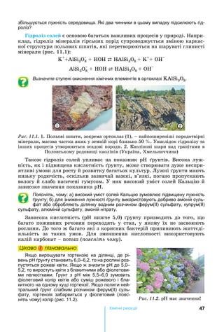 47Хімічні реакціі
збіль ується лужність середовища. кі два чинники в цьому випадку підсилюють гід-
роліз
ідро із о е є	основою	багатьох	важливих	процесів	у	природі.	 апри-
клад,	гідроліз	мінералів	гірських	порід	супроводжується	зміною	каркас-
ної	структури	польових	шпатів,	які	перетворюються	на	шаруваті	глинисті	
мінерали	(рис.	11.1):
K+
А S 3O8 + HOH ⇄	 А S 3O8 + K+
+ OH
А S 3O8 + HOH ⇄	 А S 3O8 + OH
Визначте ступені окиснення хімічних елементів в ортоклазі А S 3O8.
1 2
Ðèñ. 11.1.	1.	Польові	шпати,	зокрема	ортоклаз	(1),	 	найпоширеніші	породотвірні	
мінерали,	масова	частка	яких	у	земній	корі	близько	50	 .	Унаслідок	гідролізу	та	
інших	процесів	утворюються	осадові	породи.	2.	Каолінові	шари	над	гранітами	в	
Полонському	родови і	каолінів	(Україна,	Хмельниччина)
Також	гідроліз	солей	упливає	на	показник	 	 рунтів.	Висока	луж-
ність,	як	і	підви ена	кислотність	 рунту,	може	створювати	дуже	неспри-
ятливі	умови	для	росту	й	розвитку	багатьох	культур.	Лужні	 рунти	мають	
низьку	родючість,	оскільки	зазвичай	важкі,	в’язкі,	погано	пропускають	
вологу	й	слабо	насичені	гумусом.	У	них	високий	уміст	солей	Кальцію	й	
зависоке	значення	показника	р .
Поясніть, чому: а) високий уміст солей Кальцію зумовлює підвищену лужність
рунту б) для зниження лужності рунту використовують добриво амоній суль-
фат або обробляють ділянку водним розчином ферум(ІІ) сульфату, купрум(ІІ)
сульфату, алюміній сульфату, амоній нітрату.
Зависока	кислотність	(р 	нижче	5,0)	 рунту	призводить	до	того,	 о	
багато	 поживних	 речовин	 переходять	 у	 стан,	 у	 якому	 їх	 не	 засвоюють	
рослини.	До	того	ж	багато	які	з	корисних	бактерій	припиняють	життєді-
яльність	 за	 таких	 умов.	 Для	 зменшення	 кислотності	 використовують	
калій	карбонат	 	поташ	( оясніть чому).
Öіêаво і ïіçнаваëüно
кщо вирощувати гортензію на ділянці, де рі-
вень р рунту становить 6,0–6,2, то на рослині роз-
пустяться рожеві квіти. кщо ж знизити р до 5,0–
5,2, то виростуть квіти з блакитними або фіолетови-
ми пелюстками. рунт з р між 5,5–6,0 зумовить
фіолетовий колір квітів або сумі рожевого і бла-
китного на одному кущі гортензії. кщо полити ней-
тральний рунт слабким розчином ферум(ІІ) суль-
фату, гортензія забарвиться у фіолетовий (пояс-
ніть чому) колір (рис. 11.2). Ðèñ. 11.2.	 	має	значення
Öіêаво і ïіçнаваëüноÖіêаво і ïіçнаваëüноÖіêаво і ïіçнаваëüноÖіêаво і ïіçнаваëüно
 