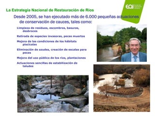 La Estrategia Nacional de Restauración de Ríos
Desde 2005, se han ejecutado más de 6.000 pequeñas actuaciones
de conservac...