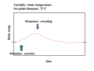 Temperature Stimuli 11_Homeostasis_Nutr and Thermo - Tagged.pdf