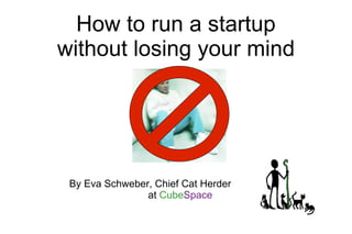 How to run a startup
without losing your mind




 By Eva Schweber, Chief Cat Herder
                at CubeSpace
