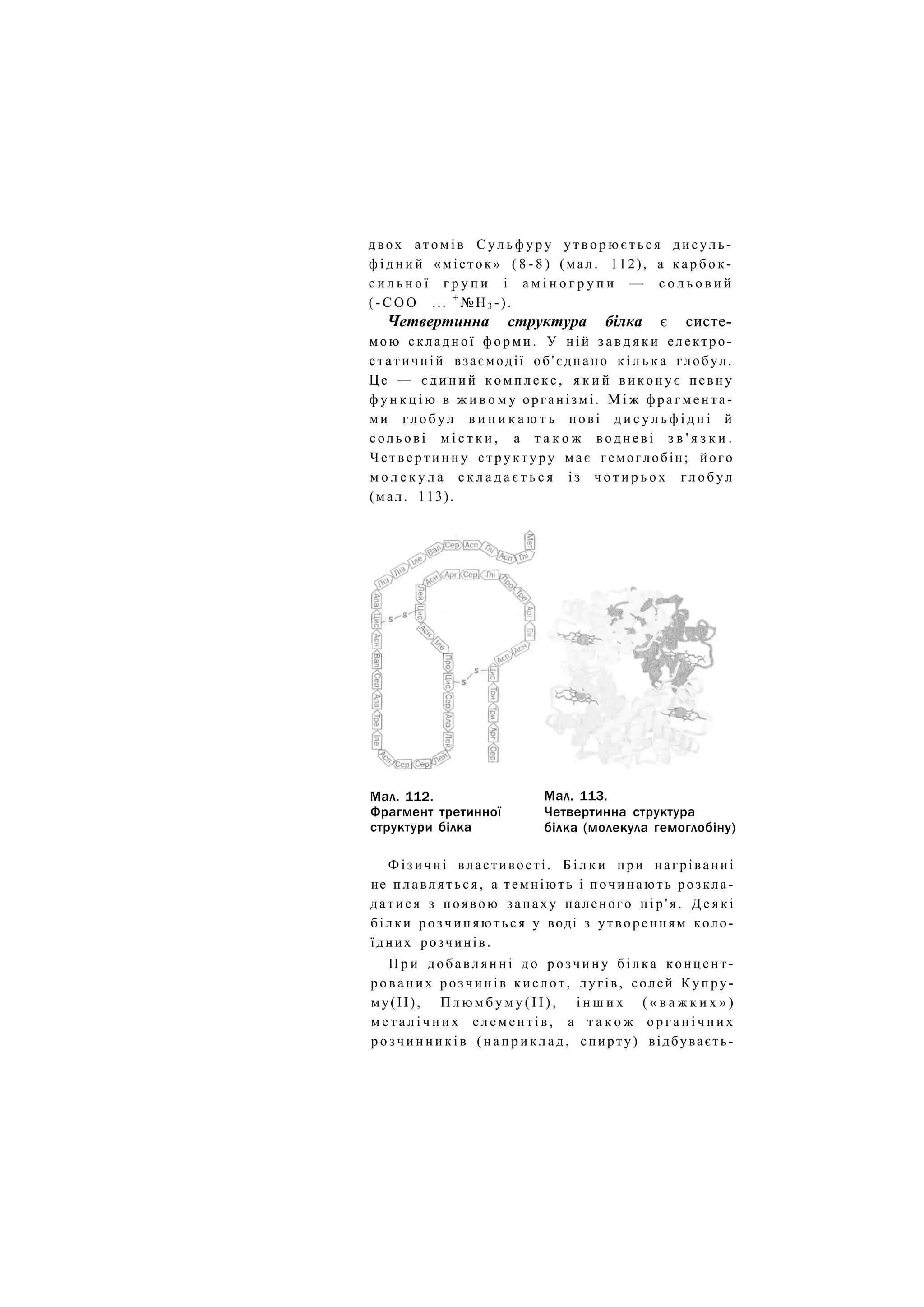 двох а т о м і в С у л ь ф у р у у т в о р ю є т ь с я д и с у л ь -
ф і д н и й «місток» ( 8 - 8 ) (мал. 112), а к а р б о к -
с и л ь н о ї г р у п и і а м і н о г р у п и — с о л ь о в и й
( - С О О ... +
№Н3 -).
Четвертинна структура білка є систе-
мою складної ф о р м и . У ній з а в д я к и електро-
статичній взаємодії об'єднано к і л ь к а глобул.
Це — є д и н и й к о м п л е к с , я к и й в и к о н у є певну
ф у н к ц і ю в ж и в о м у організмі. М і ж фрагмента-
ми г л о б у л в и н и к а ю т ь нові д и с у л ь ф і д н і й
с о л ь о в і м і с т к и , а т а к о ж водневі з в ' я з к и .
Ч е т в е р т и н н у с т р у к т у р у має гемоглобін; його
м о л е к у л а с к л а д а є т ь с я і з ч о т и р ь о х г л о б у л
(мал. 113).
Фізичні властивості. Б і л к и при нагріванні
не п л а в л я т ь с я , а темніють і починають розкла-
датися з появою запаху паленого п і р ' я . Д е я к і
білки р о з ч и н я ю т ь с я у воді з утворенням коло-
їдних розчинів.
П р и д о б а в л я н н і до р о з ч и н у білка концент-
р о в а н и х розчинів кислот, лугів, солей Купру-
му(ІІ), П л ю м б у м у ( І І ) , і н ш и х ( « в а ж к и х » )
м е т а л і ч н и х елементів, а т а к о ж о р г а н і ч н и х
р о з ч и н н и к і в ( н а п р и к л а д , спирту) відбуваєть-
Мал. 112.
Фрагмент третинної
структури білка
Мал. 113.
Четвертинна структура
білка (молекула гемоглобіну)
 