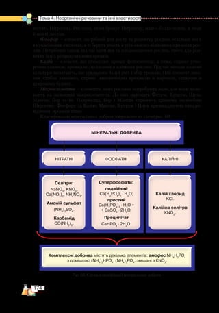 174
Тема 4. Неорганічні речовини та їхні властивості
містять Нітроген). Рослини, яким бракує Нітрогену, мають блідо-зелені, а іноді
й жовті листки.
Фосфор — елемент, потрібний для росту та розвитку рослин, оскільки він є
в нуклеїнових кислотах, а ті беруть участь в усіх окисно-відновних процесах рос-
лин. Потрібний також під час цвітіння та плодоношення рослин, тобто для роз-
витку їхніх репродуктивних органів.
Калій — елемент, що стимулює процес фотосинтезу, а отже, сприяє утво-
ренню глюкози, крохмалю, целюлози в клітинах рослин. Під час негоди злакові
культури вилягають, що ускладнює їхній ріст і збір урожаю. Цей елемент зміц-
нює стебла злакових, сприяє накопиченню крохмалю в картоплі, сахарози в
цукровому буряку.
Мікроелементи — елементи, яких рослини потребують мало, але вони впли-
вають на засвоєння макроелементів. До них належать Ферум, Купрум, Цинк,
Манган, Бор та ін. Наприклад, Бор і Манган сприяють кращому засвоєнню
Нітрогену, Фосфору та Калію; Манган, Купрум і Цинк пришвидшують окисно-
відновні процеси тощо.
Класифікацію мінеральних добрив зображено на схемі рис. 60.
Рис. 60. Схема класифікації мінеральних добрив
 