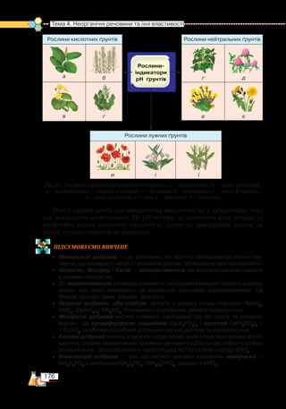 176
Тема 4. Неорганічні речовини та їхні властивості
Нині є надійні засоби для вимірювання кислотності як у лабораторіях, так і
для домашнього користування. Це рН-тестери, за допомогою яких швидко та
професійно можна визначити кислотність ґрунту на присадибній ділянці чи
грядці, штучно створеній на підвіконні.
ПІД­СУ­МО­ВУ­Є
­
МО ВИВЧЕНЕ
•	 Мінеральні добрива — це речовини, які містять найважливіші хімічні еле­
менти, що впливають на ріст і розвиток рослин, збільшуючи їхню врожайність.
•	 Нітроген, Фосфор і Калій — макроелементи, які рослини використовують
у великих кількостях.
•	 До мікроелементів належать елементи, які рослини використовують в малих
дозах, але вони впливають на засвоєння рослиною макроелементів. Це
Ферум, Купрум, Цинк, Манган, Бор та ін.
•	 Нітратні добрива, або селітри, містять у своєму складі Нітроген: NaNO3
,
KNO3
, Ca(NO3
)2
, NH4
NO3
. Впливають на розвиток зеленої маси рослин.
•	 Фосфатні добрива містять елемент, необхідний під час росту та розвитку
рослин. Це суперфосфати: подвійний Сa(Н2
РO4
)2
і простий Сa(Н2
РO4
)2
+﻿
+ СаSO4
, особливо потрібний рослинам під час цвітіння та плодоносіння.
•	 Калійні добрива містять у своєму складі Калій, який стимулює процес фото­
синтезу, сприяє накопиченню поживних речовин і забезпечує стійкість стебел
до вилягання.  Використовують калій хлорид KCl та калієву селітру KNO3
.
•	 Комплексні добрива — такі, що містять декілька елементів: амофоска —
NH4
H2
PO4
з домішкою (NH4
)3
PO4
, (NH4
)2
HPO4
, змішані з КNO3
.
Рослини кислотних ґрунтів
а б
в   г
Рослини нейтральних ґрунтів
ґ д
е є
Рослини лужних ґрунтів
и і ї
Рис. 61. Рослини-індикатори кислотності ґрунту: а — подорожник; б — хвощ польовий;
в — калюжниця; г — щавель кінський; ґ — кропива; д — конюшина; е — мати-й-мачуха;
є — осот польовий; и — мак; і — живокіст; ї — молочай
 