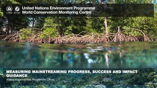 MEASURING MAINSTREAMING PROGRESS, SUCCESS AND IMPACT
GUIDANCE
19/12/2016
Abisha Mapendembe, Programme Officer
 