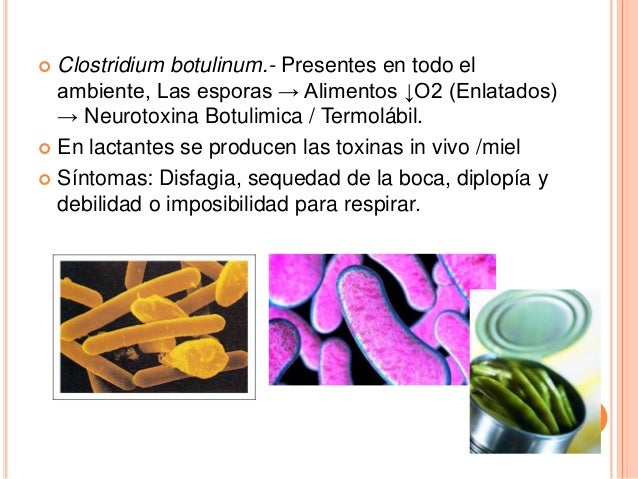 11}infecciones causadas por bacterias anaerobias