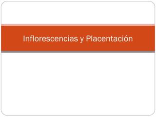 Inflorescencias y Placentación
 