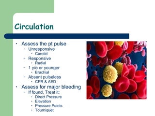 Circulation Assess the pt pulse Unresponsive Carotid Responsive Radial 1 y/o or younger  Brachial Absent pulseless CPR & AED Assess for major bleeding If found, Treat it: Direct Pressure Elevation Pressure Points Tourniquet  