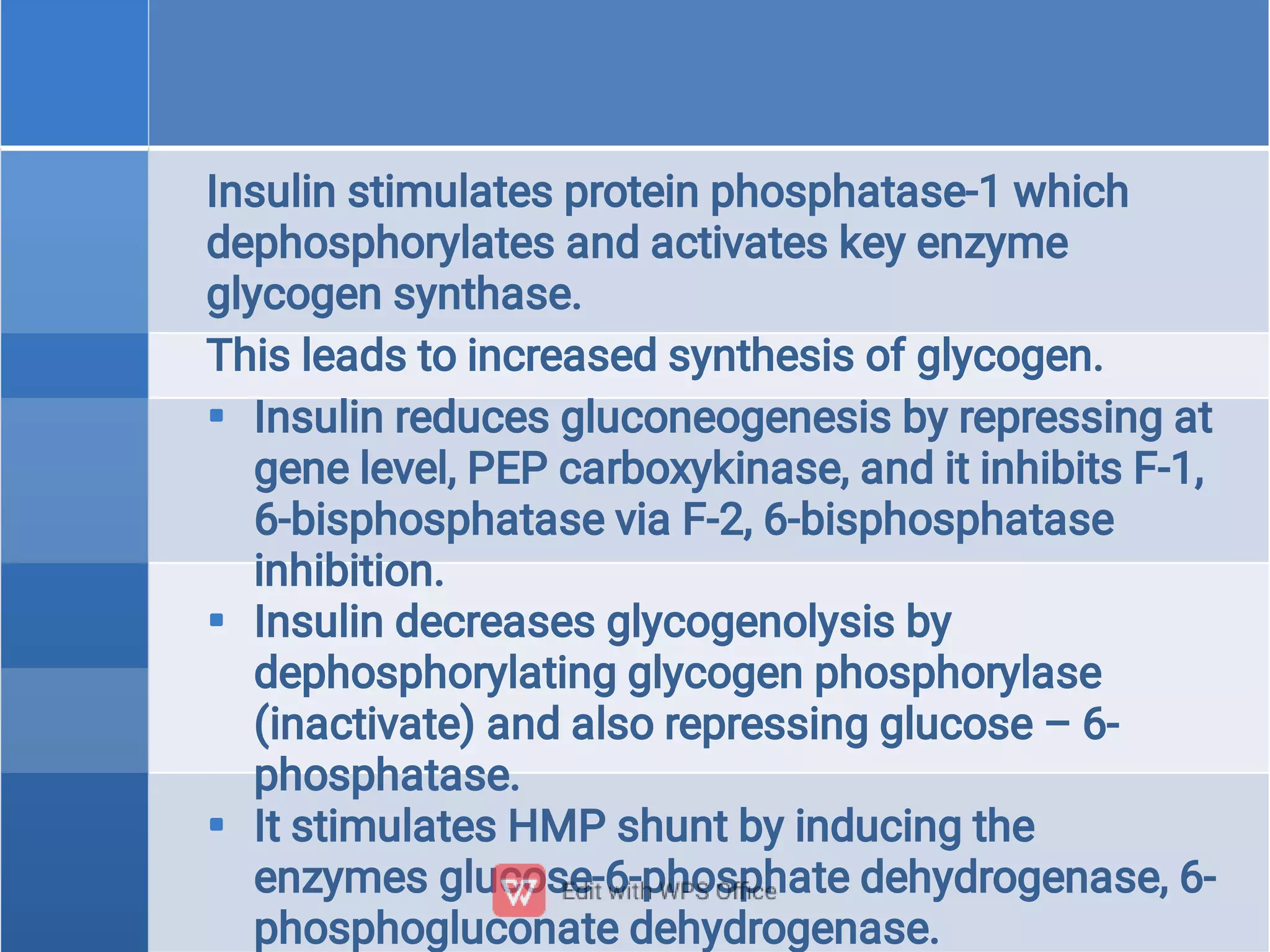 


Insulin stimulates protein phosphatase-1 which
dephosphorylates and activates key enzyme
glycogen synthase.
This leads to increased synthesis of glycogen.
Insulin reduces gluconeogenesis by repressing at
gene level, PEP carboxykinase, and it inhibits F-1,
6-bisphosphatase via F-2, 6-bisphosphatase
inhibition.
Insulin decreases glycogenolysis by
dephosphorylating glycogen phosphorylase
(inactivate) and also repressing glucose – 6-
phosphatase.
It stimulates HMP shunt by inducing the
enzymes glucose-6-phosphate dehydrogenase, 6-
phosphogluconate dehydrogenase.
 