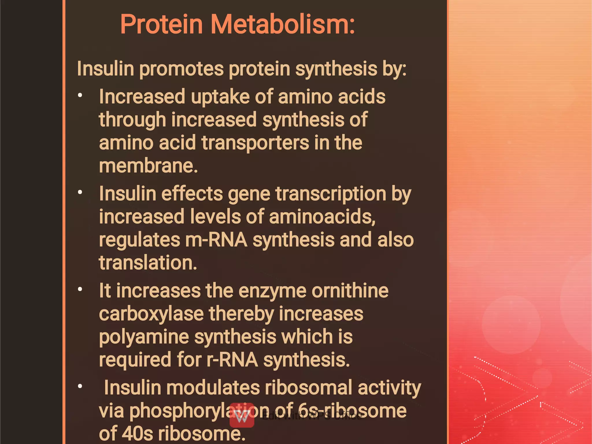 Protein Metabolism:
•
•
•
•
Insulin promotes protein synthesis by:
Increased uptake of amino acids
through increased synthesis of
amino acid transporters in the
membrane.
Insulin effects gene transcription by
increased levels of aminoacids,
regulates m-RNA synthesis and also
translation.
It increases the enzyme ornithine
carboxylase thereby increases
polyamine synthesis which is
required for r-RNA synthesis.
Insulin modulates ribosomal activity
via phosphorylation of 6s-ribosome
of 40s ribosome.
 