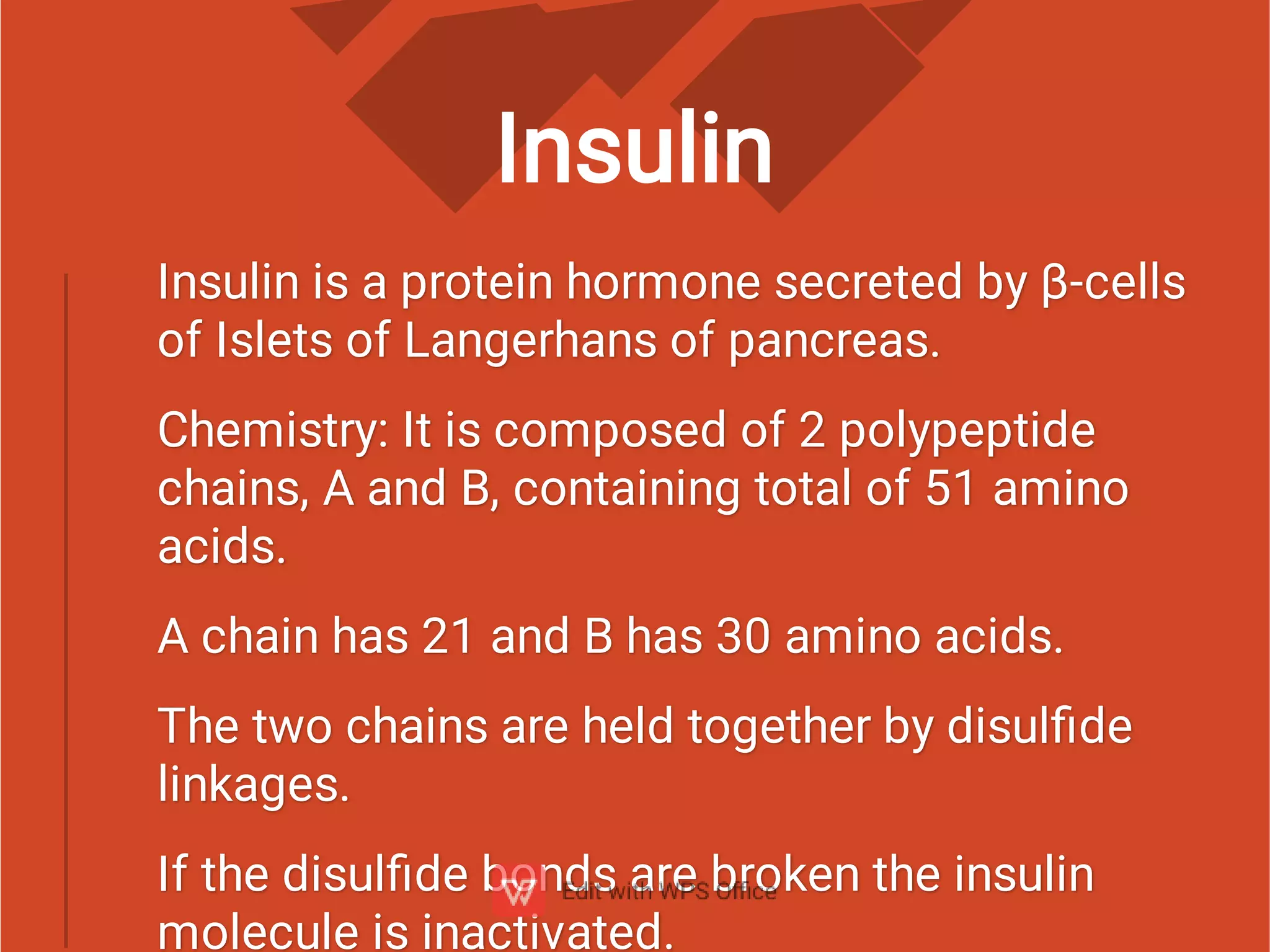 Insulin
Insulin is a protein hormone secreted by β-cells
of Islets of Langerhans of pancreas.
Chemistry: It is composed of 2 polypeptide
chains, A and B, containing total of 51 amino
acids.
A chain has 21 and B has 30 amino acids.
The two chains are held together by disulﬁde
linkages.
If the disulﬁde bonds are broken the insulin
molecule is inactivated.
 
