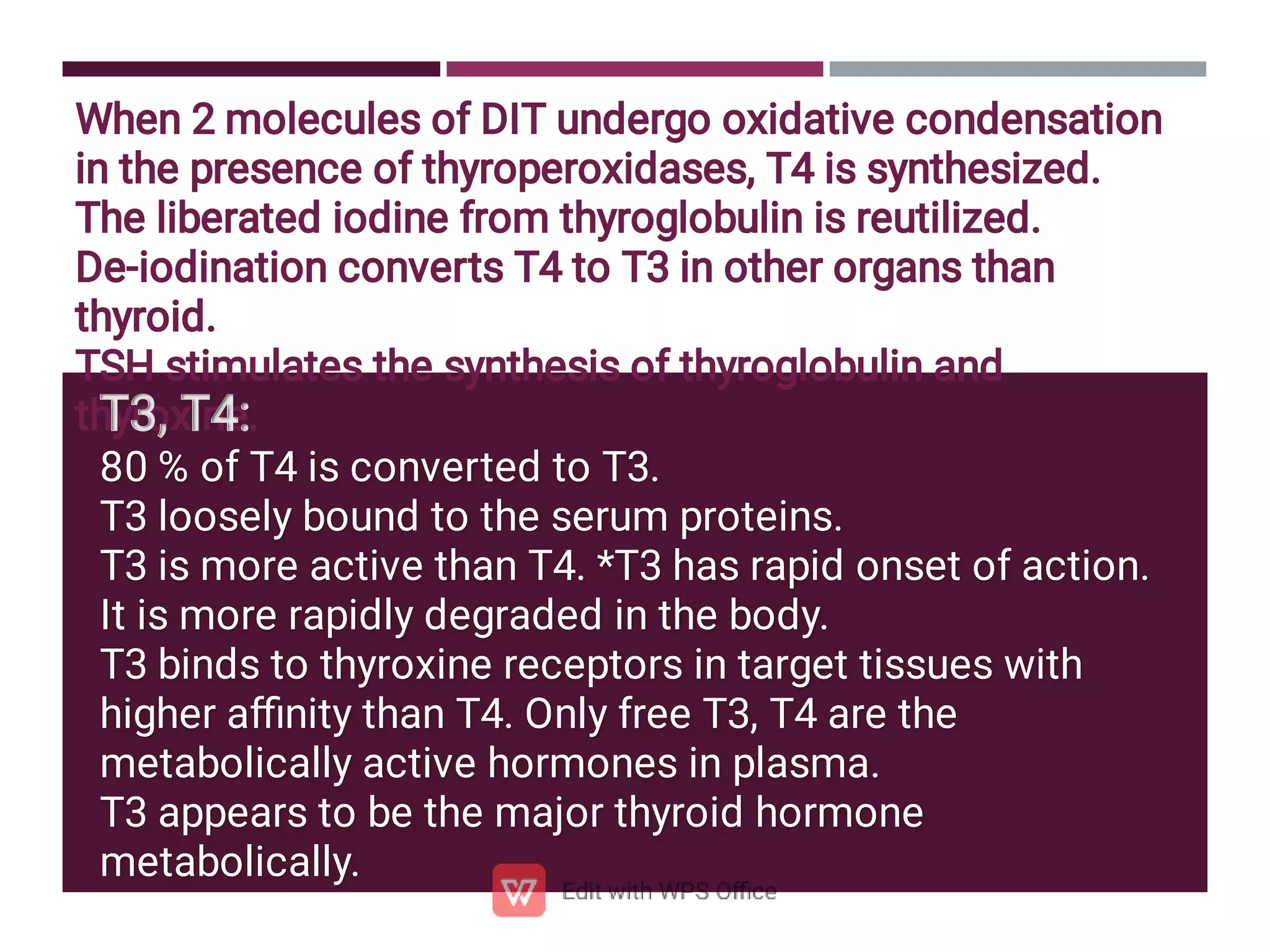 When 2 molecules of DIT undergo oxidative condensation
in the presence of thyroperoxidases, T4 is synthesized.
The liberated iodine from thyroglobulin is reutilized.
De-iodination converts T4 to T3 in other organs than
thyroid.
TSH stimulates the synthesis of thyroglobulin and
thyroxine.
T3, T4:
T3, T4:
80 % of T4 is converted to T3.
T3 loosely bound to the serum proteins.
T3 is more active than T4. *T3 has rapid onset of action.
It is more rapidly degraded in the body.
T3 binds to thyroxine receptors in target tissues with
higher aﬃnity than T4. Only free T3, T4 are the
metabolically active hormones in plasma.
T3 appears to be the major thyroid hormone
metabolically.
 