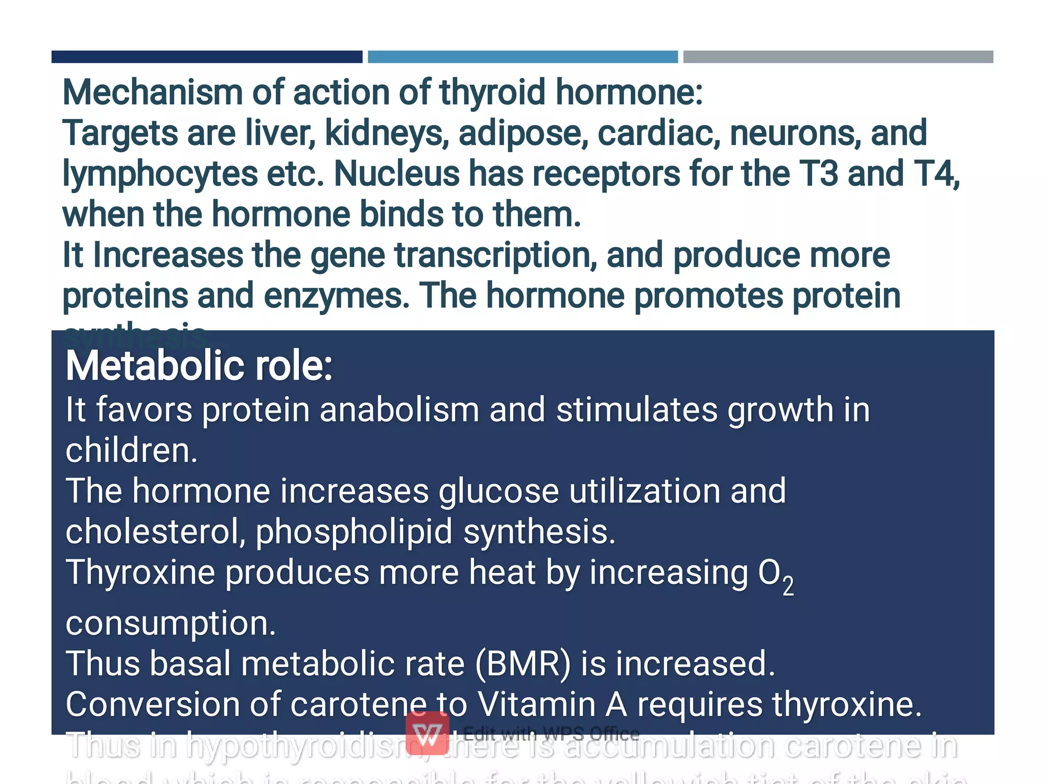 Mechanism of action of thyroid hormone:
Targets are liver, kidneys, adipose, cardiac, neurons, and
lymphocytes etc. Nucleus has receptors for the T3 and T4,
when the hormone binds to them.
It Increases the gene transcription, and produce more
proteins and enzymes. The hormone promotes protein
synthesis.
Metabolic role:
It favors protein anabolism and stimulates growth in
children.
The hormone increases glucose utilization and
cholesterol, phospholipid synthesis.
Thyroxine produces more heat by increasing O2
consumption.
Thus basal metabolic rate (BMR) is increased.
Conversion of carotene to Vitamin A requires thyroxine.
Thus in hypothyroidism, there is accumulation carotene in
 