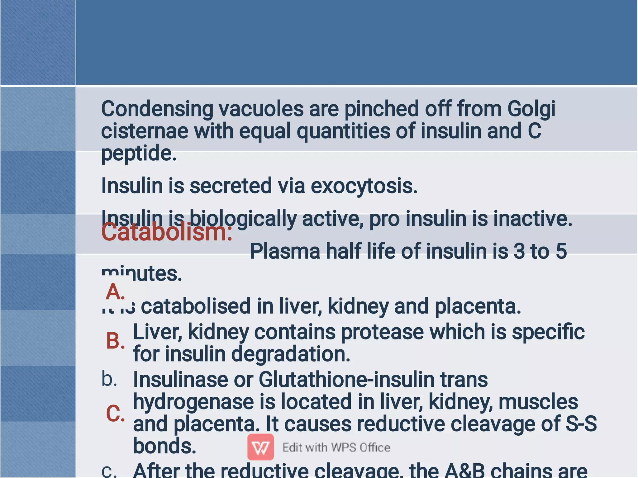 a.
b.
c.
Condensing vacuoles are pinched off from Golgi
cisternae with equal quantities of insulin and C
peptide.
Insulin is secreted via exocytosis.
Insulin is biologically active, pro insulin is inactive.
Plasma half life of insulin is 3 to 5
minutes.
It is catabolised in liver, kidney and placenta.
Liver, kidney contains protease which is speciﬁc
for insulin degradation.
Insulinase or Glutathione-insulin trans
hydrogenase is located in liver, kidney, muscles
and placenta. It causes reductive cleavage of S-S
bonds.
Catabolism:
A.
B.
C.
 