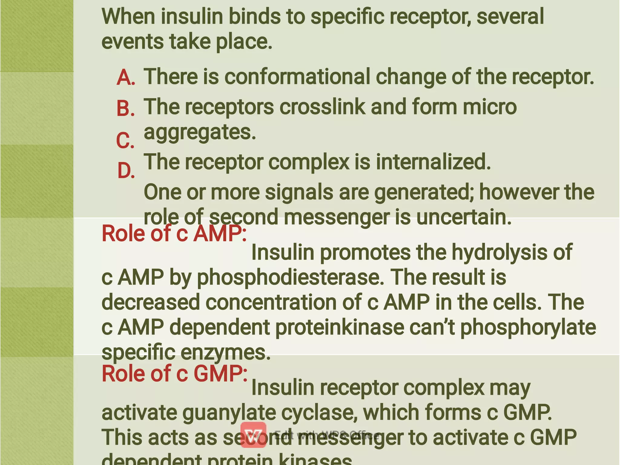 When insulin binds to speciﬁc receptor, several
events take place.
There is conformational change of the receptor.
The receptors crosslink and form micro
aggregates.
The receptor complex is internalized.
One or more signals are generated; however the
role of second messenger is uncertain.
Insulin promotes the hydrolysis of
c AMP by phosphodiesterase. The result is
decreased concentration of c AMP in the cells. The
c AMP dependent proteinkinase can’t phosphorylate
speciﬁc enzymes.
Insulin receptor complex may
activate guanylate cyclase, which forms c GMP.
This acts as second messenger to activate c GMP
Role of c AMP:
Role of c GMP:
A.
B.
C.
D.
 