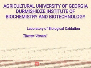 Laboratory of Biological Oxidation
AGRICULTURAL UNIVERSITY OF GEORGIA
DURMISHIDZE INSTITUTE OF
BIOCHEMISTRY AND BIOTECHNOLOGY
Tamar Varazi
 