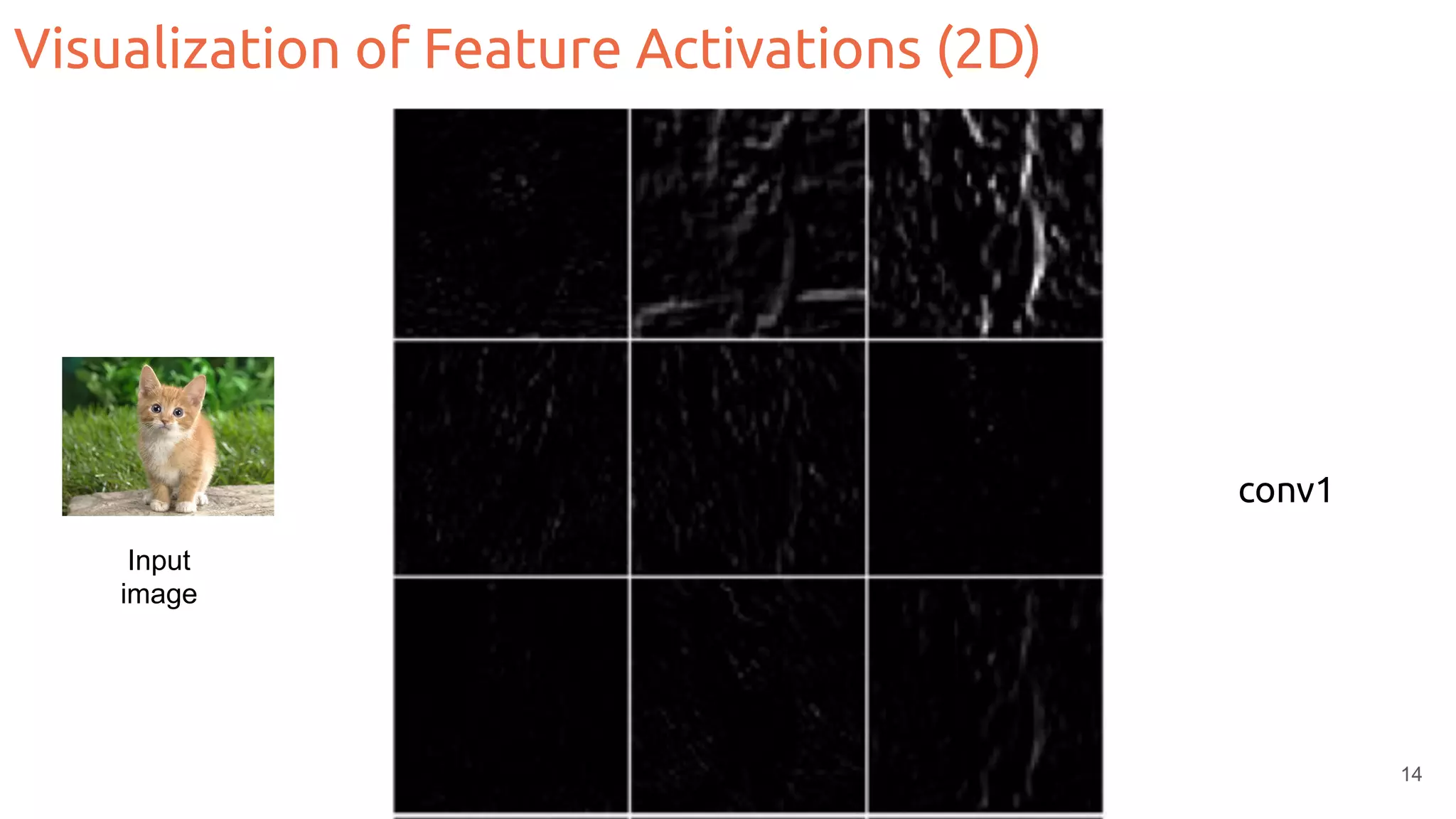 Visualization of Feature Activations (2D)
14
conv1
Input
image
 