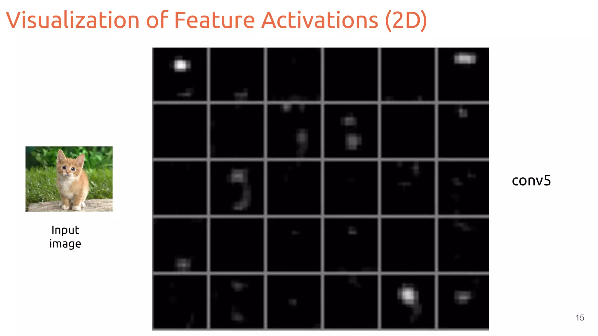 15
conv5
Input
image
Visualization of Feature Activations (2D)
 
