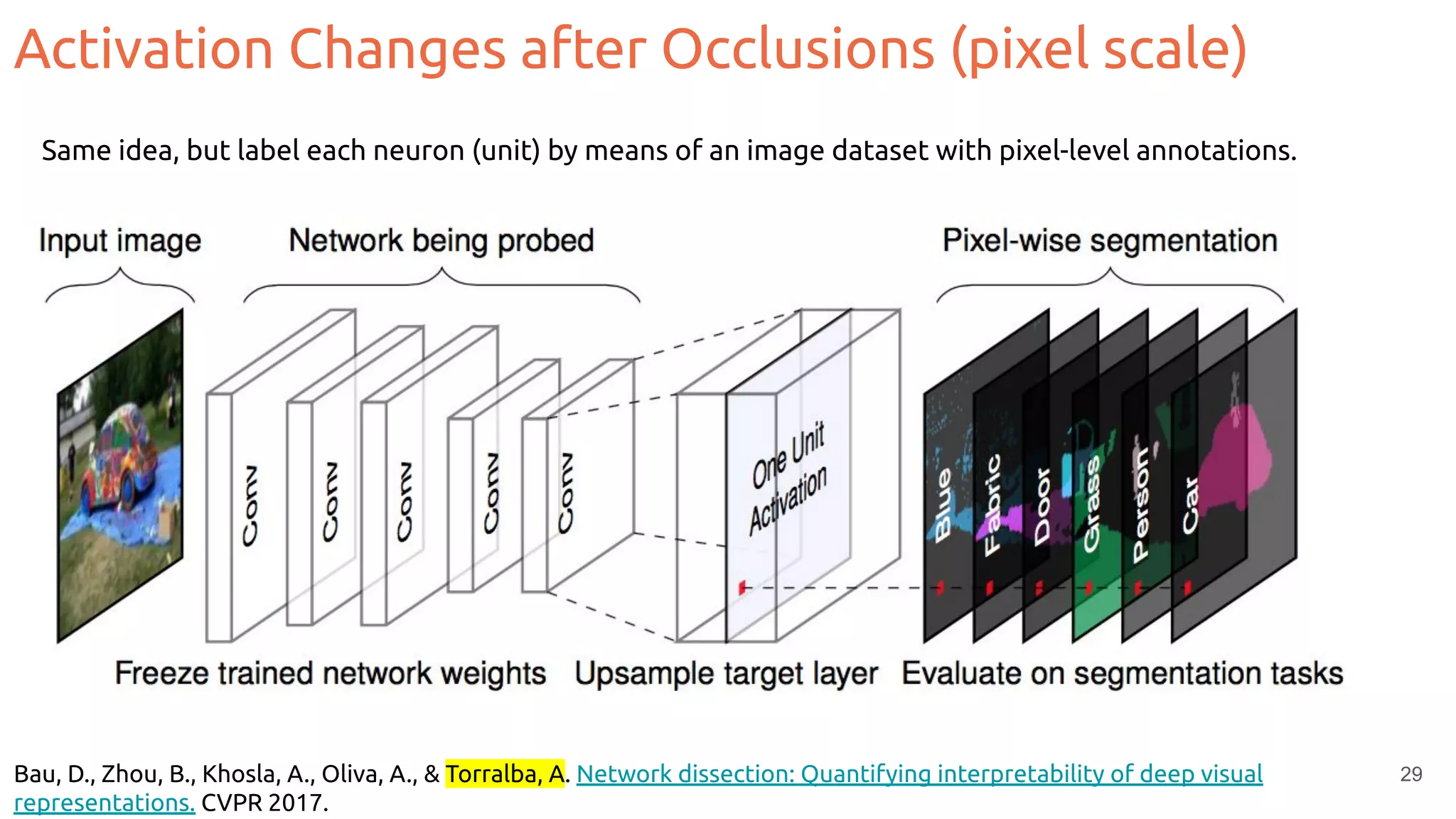 Activation Changes after Occlusions (pixel scale)
29
Same idea, but label each neuron (unit) by means of an image dataset with pixel-level annotations.
Bau, D., Zhou, B., Khosla, A., Oliva, A., & Torralba, A. Network dissection: Quantifying interpretability of deep visual
representations. CVPR 2017.
 