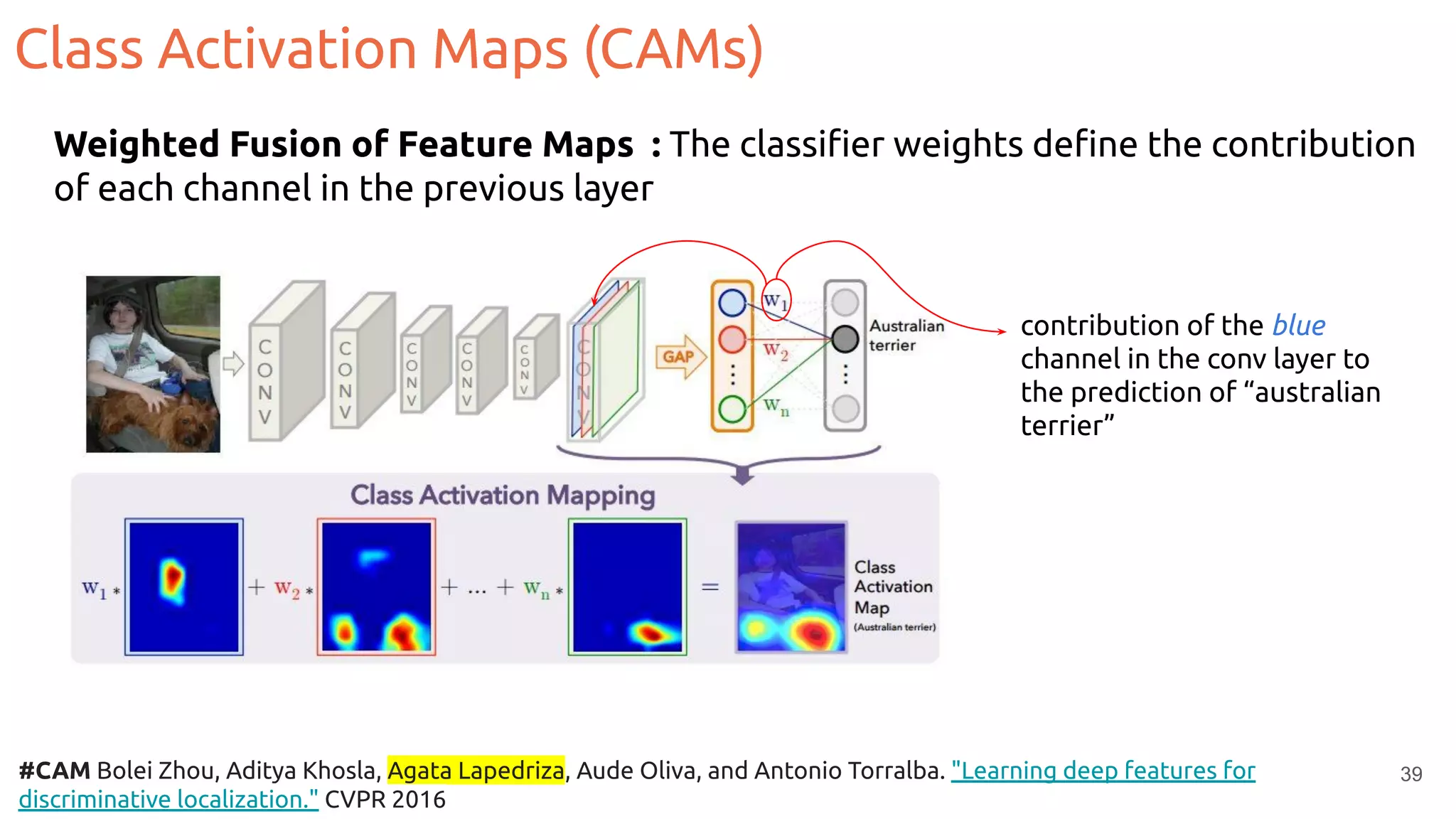 Class Activation Maps (CAMs)
39
Weighted Fusion of Feature Maps : The classiﬁer weights deﬁne the contribution
of each channel in the previous layer
contribution of the blue
channel in the conv layer to
the prediction of “australian
terrier”
#CAM Bolei Zhou, Aditya Khosla, Agata Lapedriza, Aude Oliva, and Antonio Torralba. "Learning deep features for
discriminative localization." CVPR 2016
 