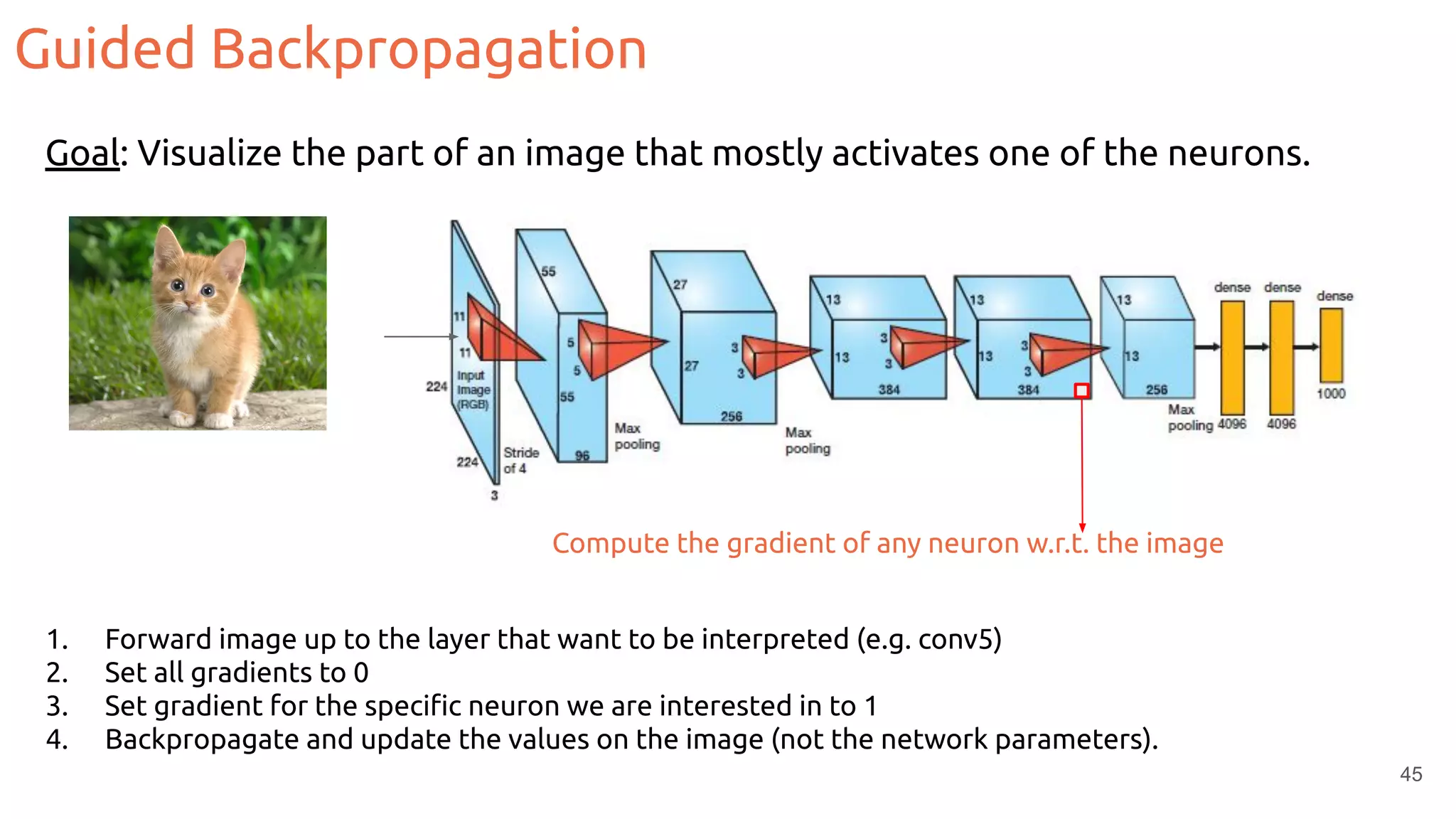 Guided Backpropagation
Compute the gradient of any neuron w.r.t. the image
1. Forward image up to the layer that want to be interpreted (e.g. conv5)
2. Set all gradients to 0
3. Set gradient for the speciﬁc neuron we are interested in to 1
4. Backpropagate and update the values on the image (not the network parameters).
Goal: Visualize the part of an image that mostly activates one of the neurons.
45
 