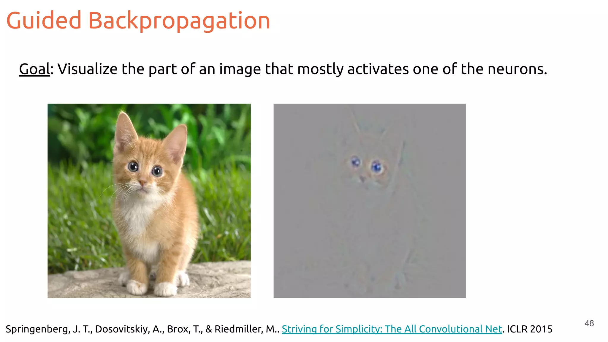 Guided Backpropagation
Springenberg, J. T., Dosovitskiy, A., Brox, T., & Riedmiller, M.. Striving for Simplicity: The All Convolutional Net. ICLR 2015
48
Goal: Visualize the part of an image that mostly activates one of the neurons.
 