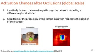 Activation Changes after Occlusions (global scale)
1. Iteratively forward the same image through the network, occluding a
diﬀerent region at a time.
2. Keep track of the probability of the correct class with respect to the position
of the occluder
Zeiler and Fergus. Visualizing and Understanding Convolutional Networks. ECCV 2015
27
 