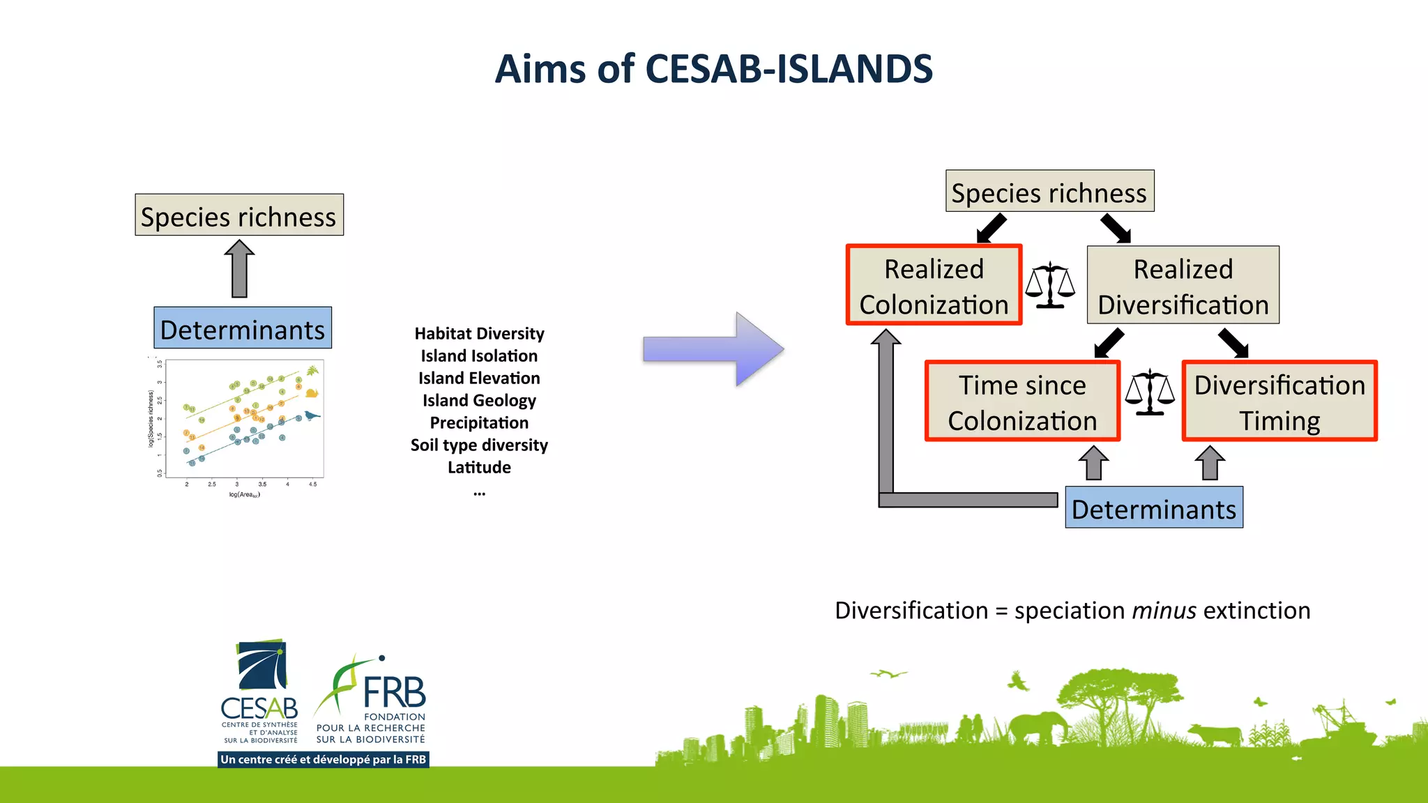 Aims	of	CESAB-ISLANDS
Species	richness	
Determinants	 Habitat	Diversity	
Island	Isola2on	
Island	Eleva2on	
Island	Geology	
Precipita2on	
Soil	type	diversity	
La2tude	
…	
Species	richness	
Realized	
Diversiﬁca3on	
Realized	
Coloniza3on	
Diversiﬁca3on	
Timing	
Time	since	
Coloniza3on	
Determinants	
Diversification	=	speciation	minus	extinction
 