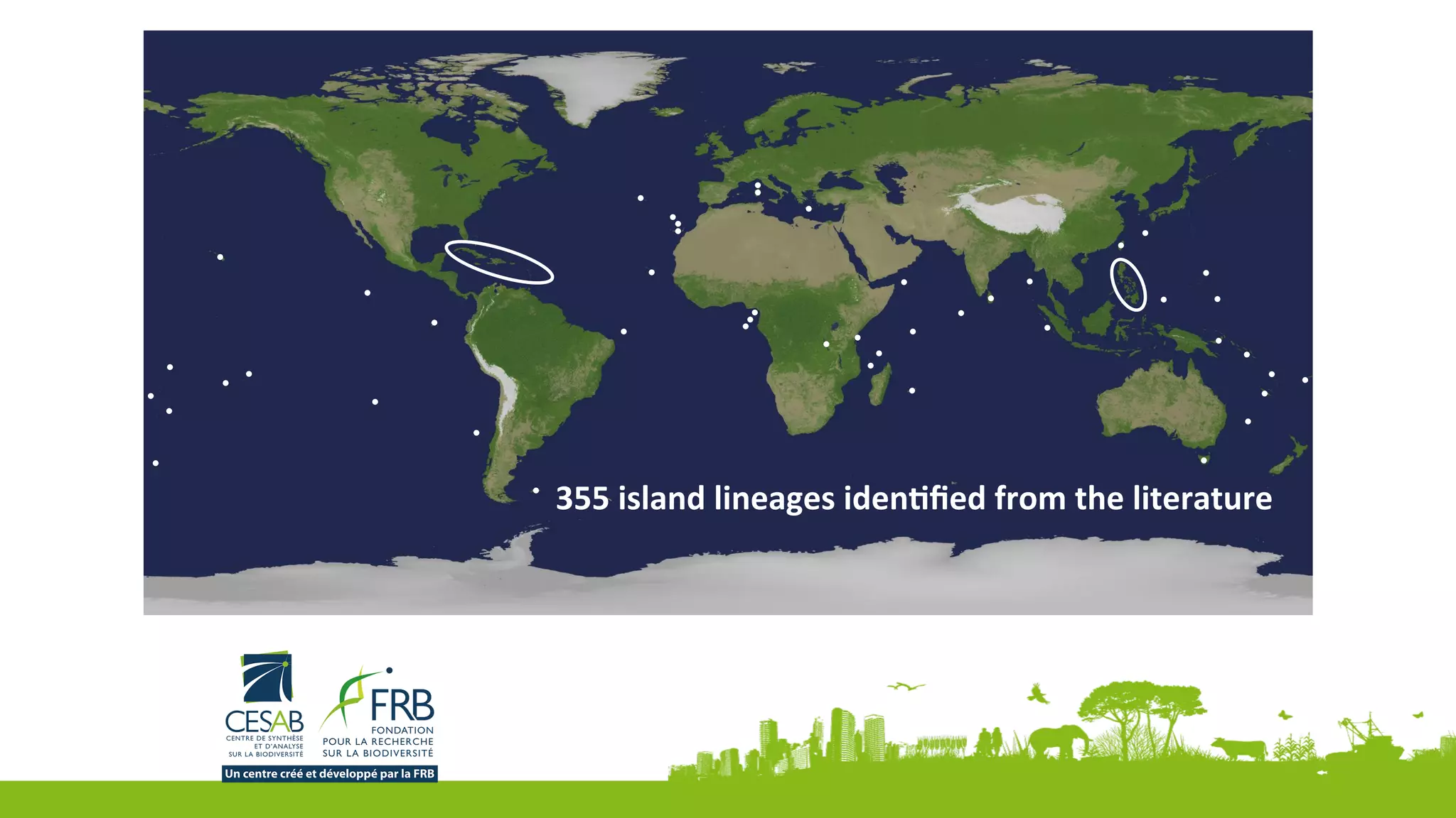 355	island	lineages	iden,ﬁed	from	the	literature	
 