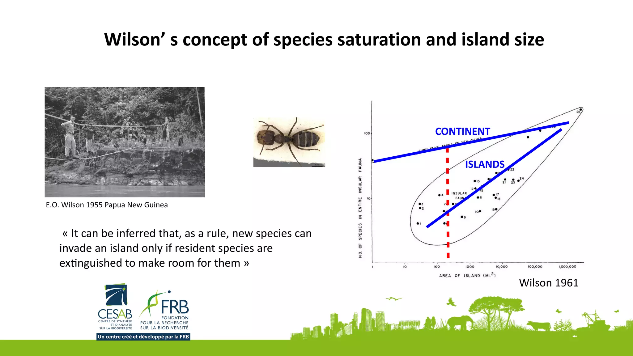 CONTINENT
ISLANDS
Island Biogeography in the 1960s • 3
of geographic variation. They turned out to be mostly specialized on mar-
ginal habitats, those inhabited by relatively small numbers of species.
In Melanesia, the marginal habitats include littoral environments of the
coastal shore, river-edge forests, and savannas. Such are places that are
happenstance staging areas for between-island dispersal. Local populations
Figure 1.1. E. O. Wilson with guard crossing the lower Mongi River, Papua New
Guinea, April 1955.
MelanesiaSoutheastern Asia
Time
Marginal
Habitats
Inner
Rain
Forest
1
2
4
3
5
6
Figure 1.2. The taxon cycle in the Melanesian ant fauna (Wilson 1965, modiﬁed
from Wilson 1959).
E.O.	Wilson	1955	Papua	New	Guinea
Wilson	1961
	«	It	can	be	inferred	that,	as	a	rule,	new	species	can	
invade	an	island	only	if	resident	species	are	
exJnguished	to	make	room	for	them	»
Wilson’	s	concept	of	species	saturation	and	island	size	
 