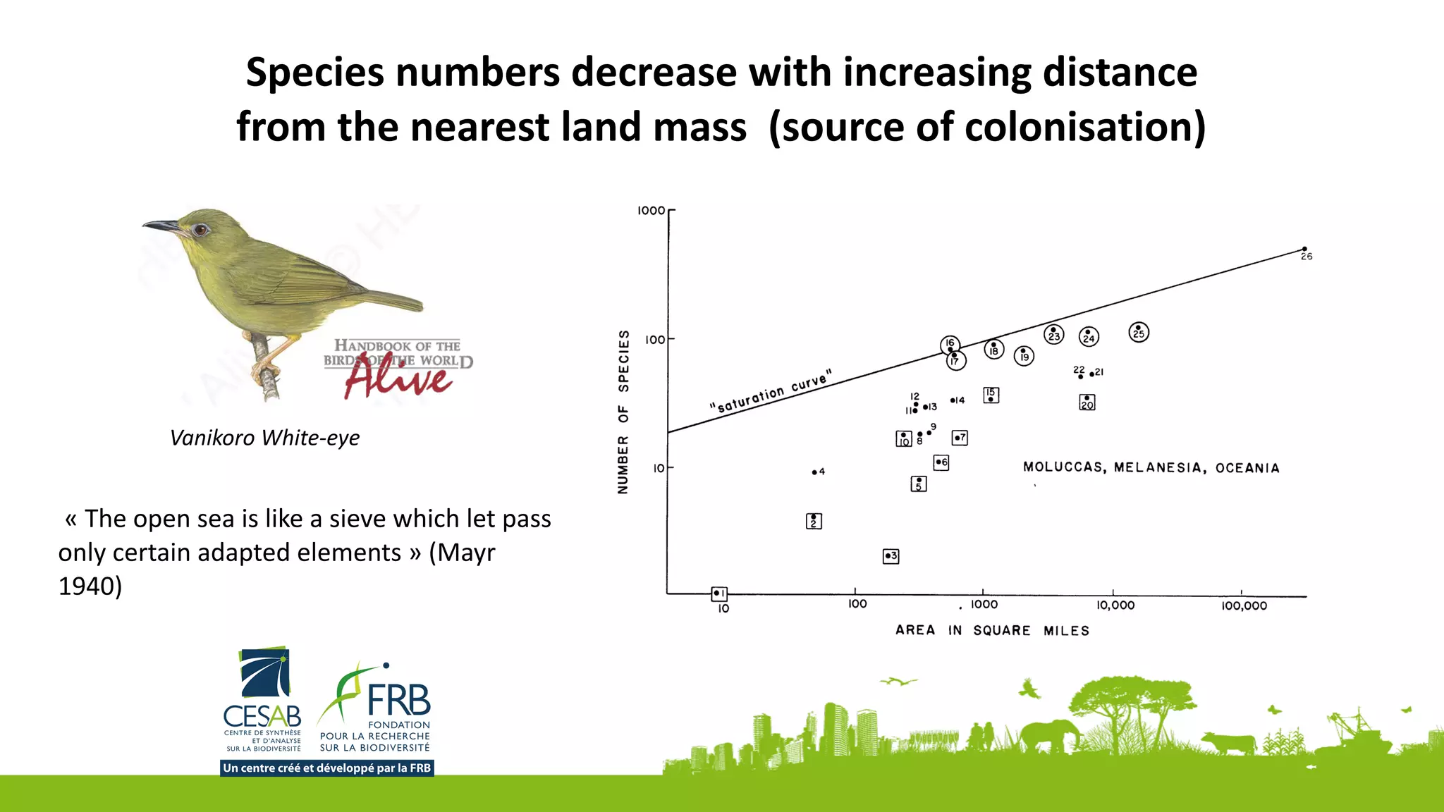 Species	numbers	decrease	with	increasing	distance	
from	the	nearest	land	mass		(source	of	colonisation)
	«	The	open	sea	is	like	a	sieve	which	let	pass	
only	certain	adapted	elements	»	(Mayr	
1940)
Vanikoro	White-eye	
 