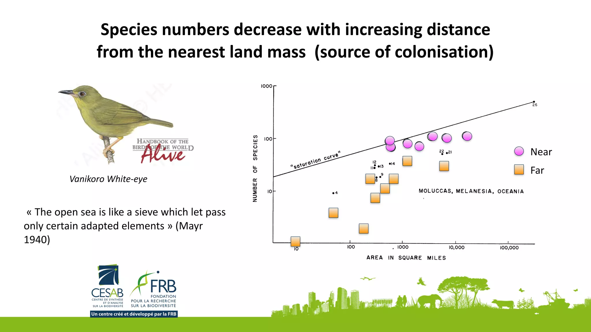 Species	numbers	decrease	with	increasing	distance	
from	the	nearest	land	mass		(source	of	colonisation)
	«	The	open	sea	is	like	a	sieve	which	let	pass	
only	certain	adapted	elements	»	(Mayr	
1940)
Vanikoro	White-eye	
Near
Far
 