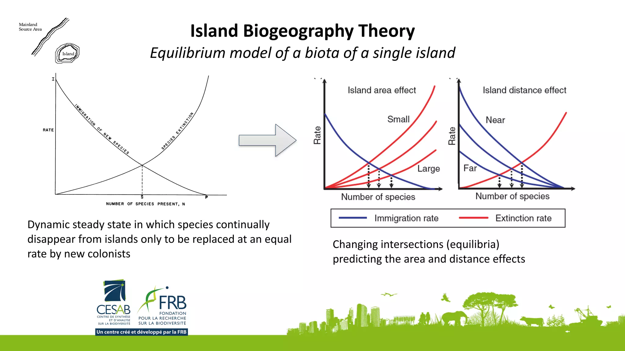 Island	Biogeography	Theory	
Equilibrium	model	of	a	biota	of	a	single	island
Dynamic	steady	state	in	which	species	continually	
disappear	from	islands	only	to	be	replaced	at	an	equal	
rate	by	new	colonists
Changing	intersections	(equilibria)	
predicting	the	area	and	distance	effects
 