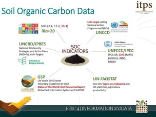 Soil Organic Carbon Data
 