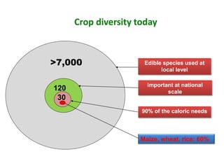 Value chains for Food & Nutrition Security