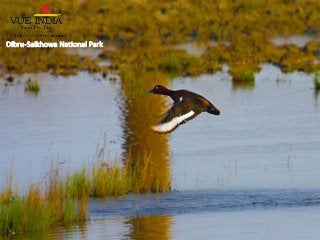 Visit the off-beat locales of India before you turn 30