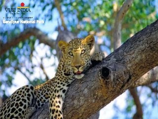 Visit the off-beat locales of India before you turn 30