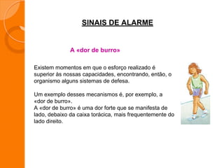 SINAIS DE ALARME
A «dor de burro»
Existem momentos em que o esforço realizado é
superior às nossas capacidades, encontrando, então, o
organismo alguns sistemas de defesa.
Um exemplo desses mecanismos é, por exemplo, a
«dor de burro».
A «dor de burro» é uma dor forte que se manifesta de
lado, debaixo da caixa torácica, mais frequentemente do
lado direito.
 