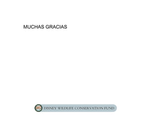 MUCHAS GRACIAS
 